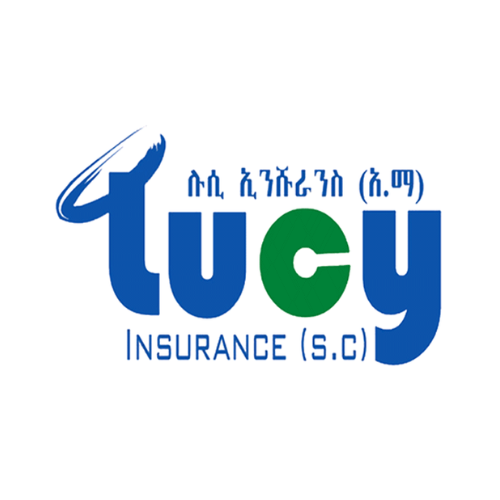 Lucy Insurance Job Vacancy 2026