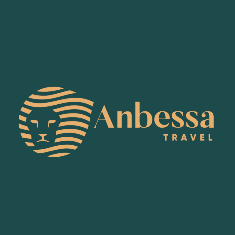 Anbessa Travel Job Vacancy 2026