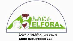 ELFORA AGRO INDUSTRY PLC JOB