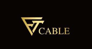 F and T Electric Equipment Manufacturing PLC 