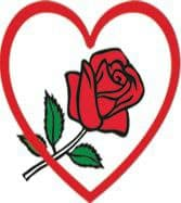 New Flower General Trading Vacancy