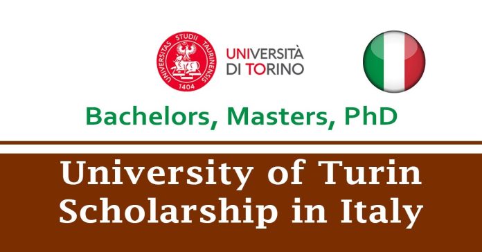 University of Turin scolarship