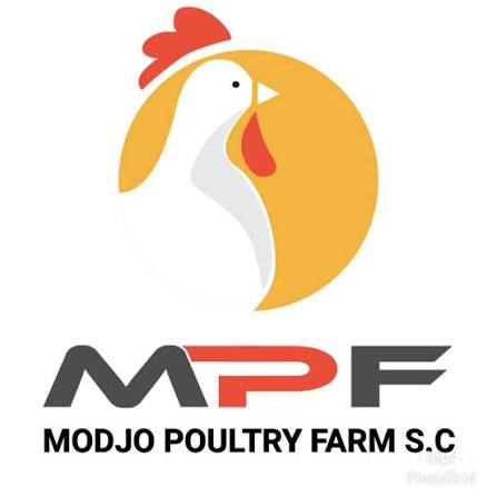 Modjo Poultry Farm